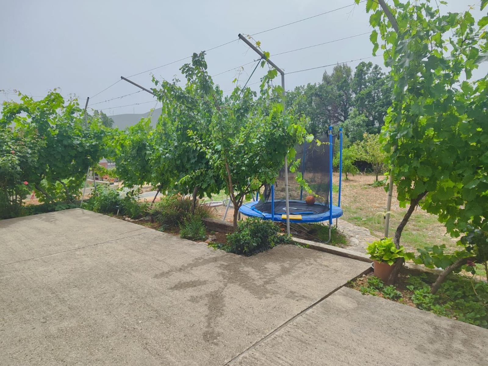 Home Lucic ロゾヴァック エクステリア 写真